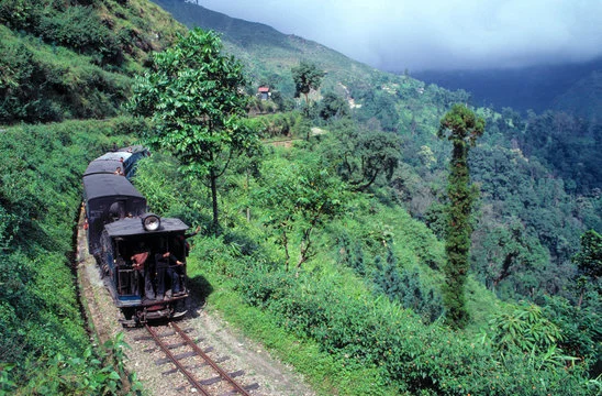 Darjeeling