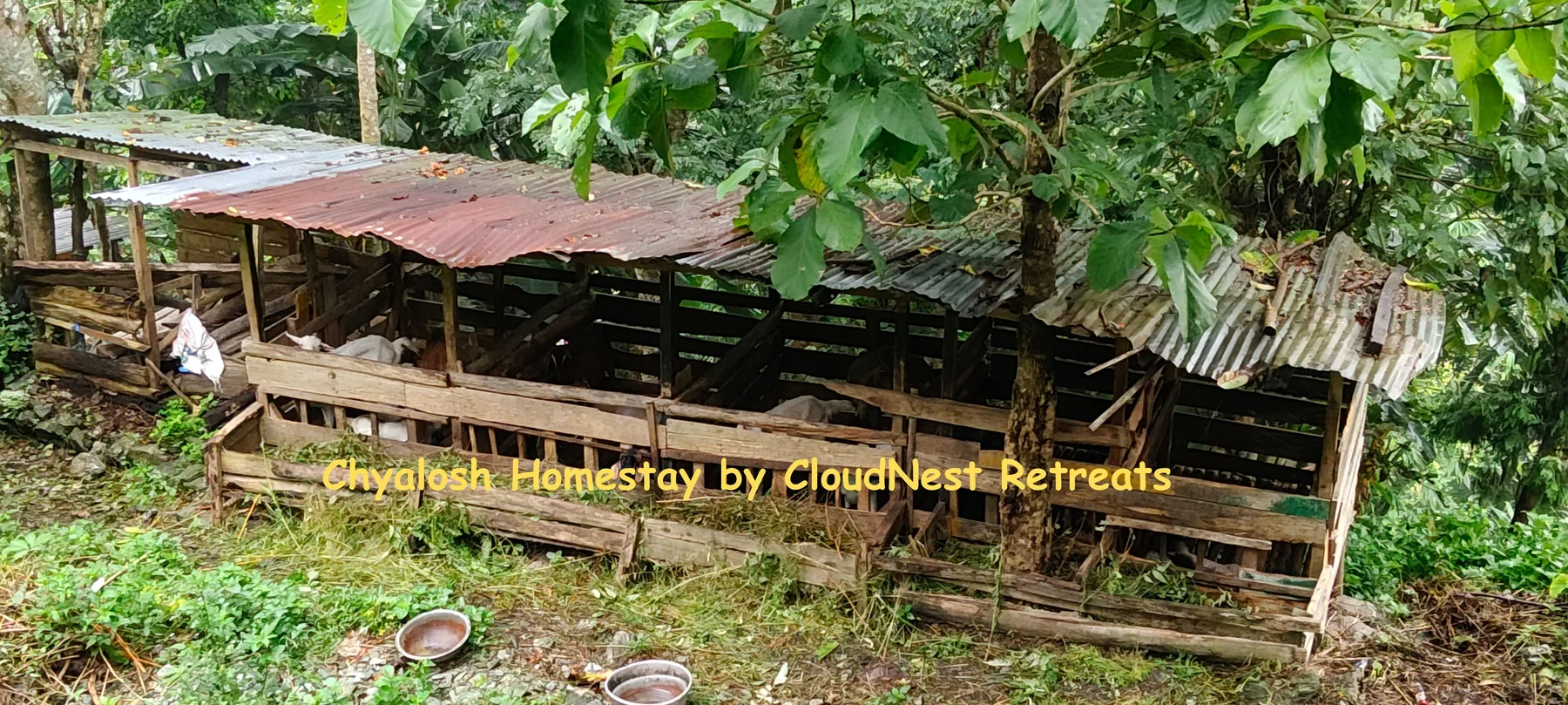 Outdoor area at Chyalosh Homestay