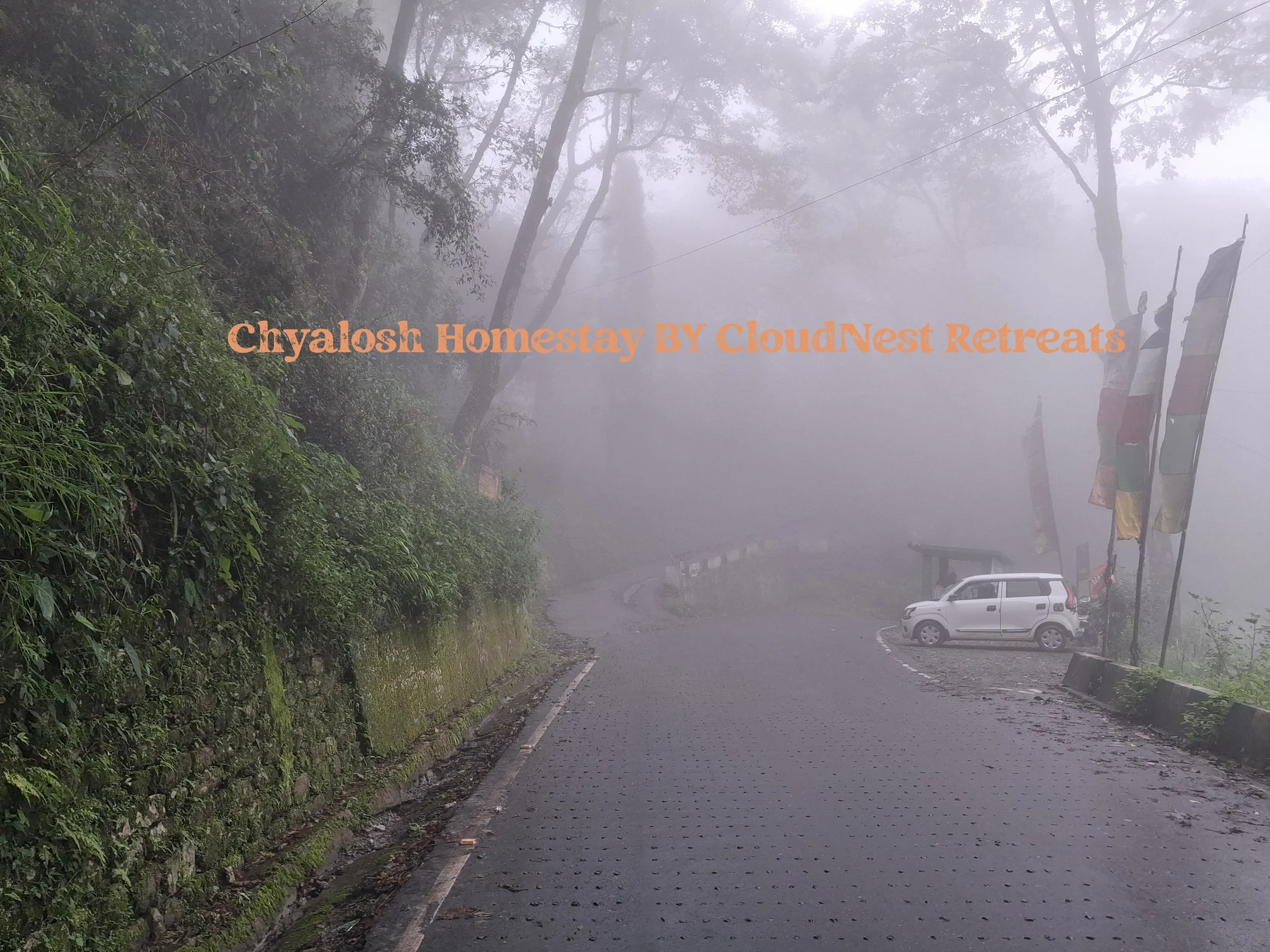 Natural surroundings near Chyalosh Homestay