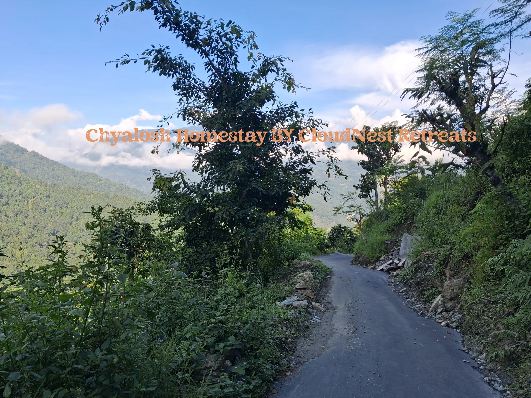Natural landscape around Chyalosh Homestay